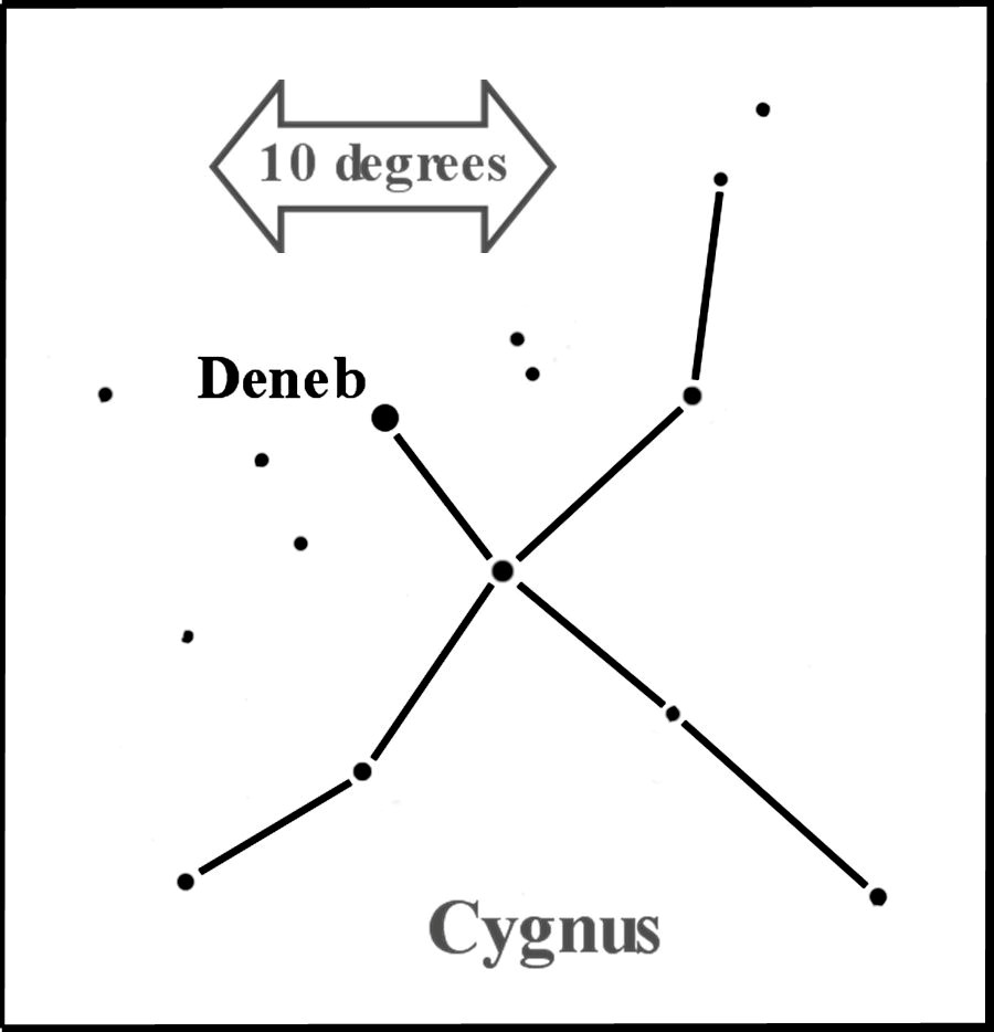 Cygnus the Swan diagram